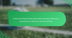 Defensa de Níquel: Roles adicionales de backs defensivos, Esquemas de cobertura, Opciones de blitz